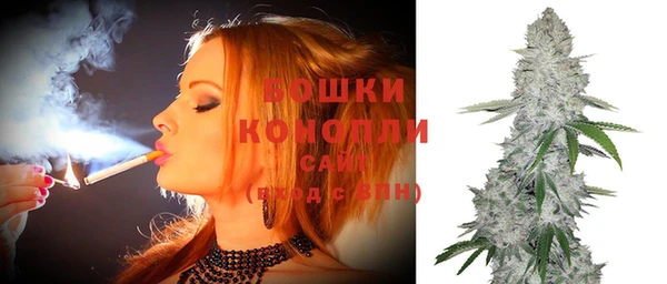 PSILOCYBIN Михайлов