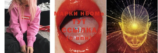 PSILOCYBIN Михайлов