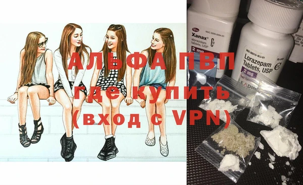 PSILOCYBIN Михайлов