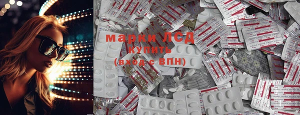 PSILOCYBIN Михайлов