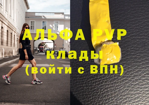 PSILOCYBIN Михайлов