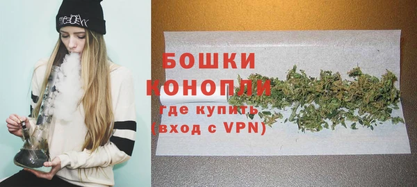 PSILOCYBIN Михайлов
