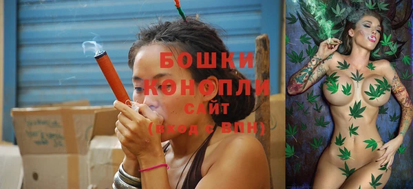 PSILOCYBIN Михайлов