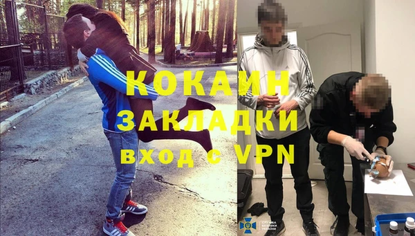 гашик Михайловск